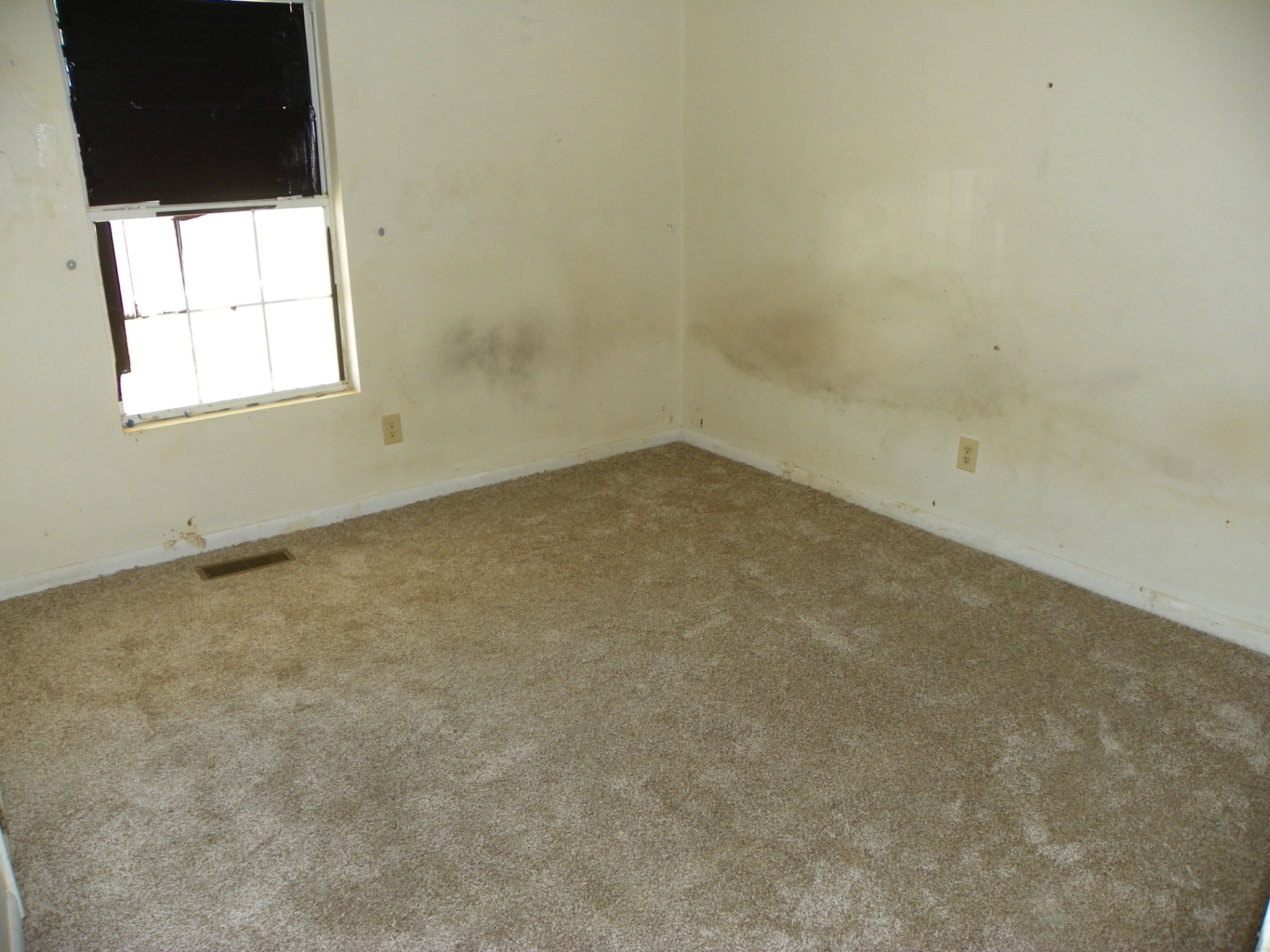 306 Doug Luna Rd Property Photo 7