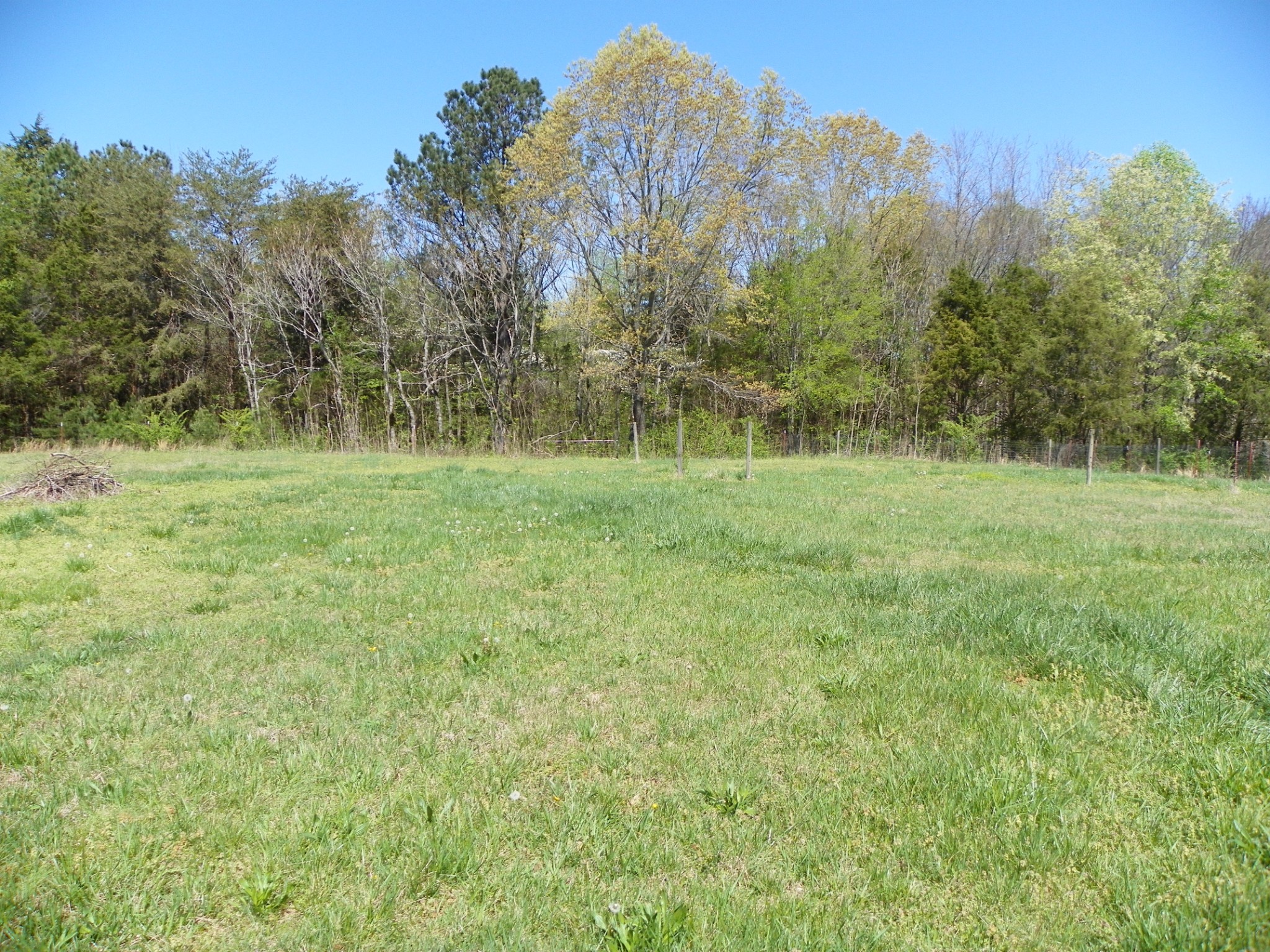 306 Doug Luna Rd Property Photo 11