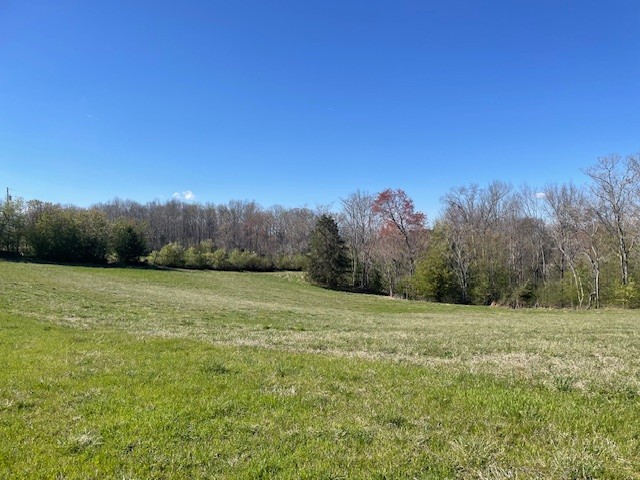 1931 Dibrell Lucky Rd Property Photo 3