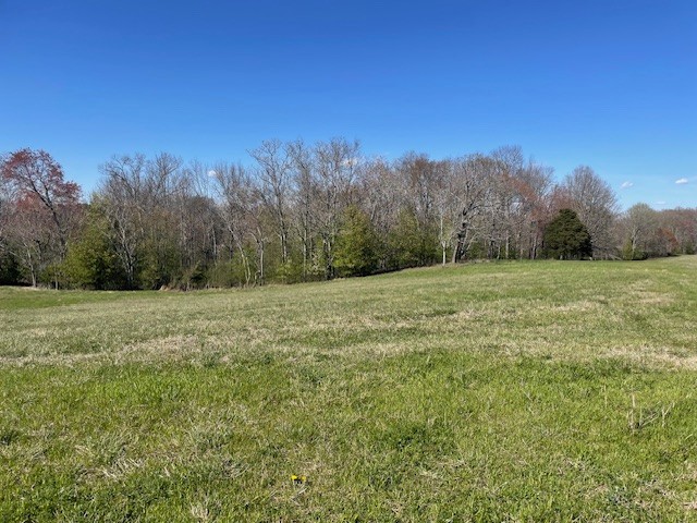 1931 Dibrell Lucky Rd Property Photo 4