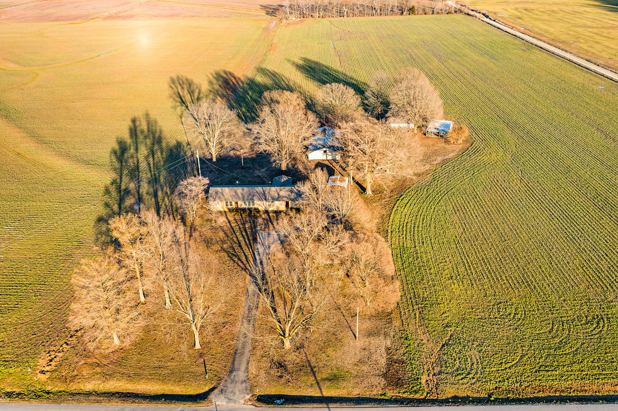 1734a Riddick Rd Property Photo