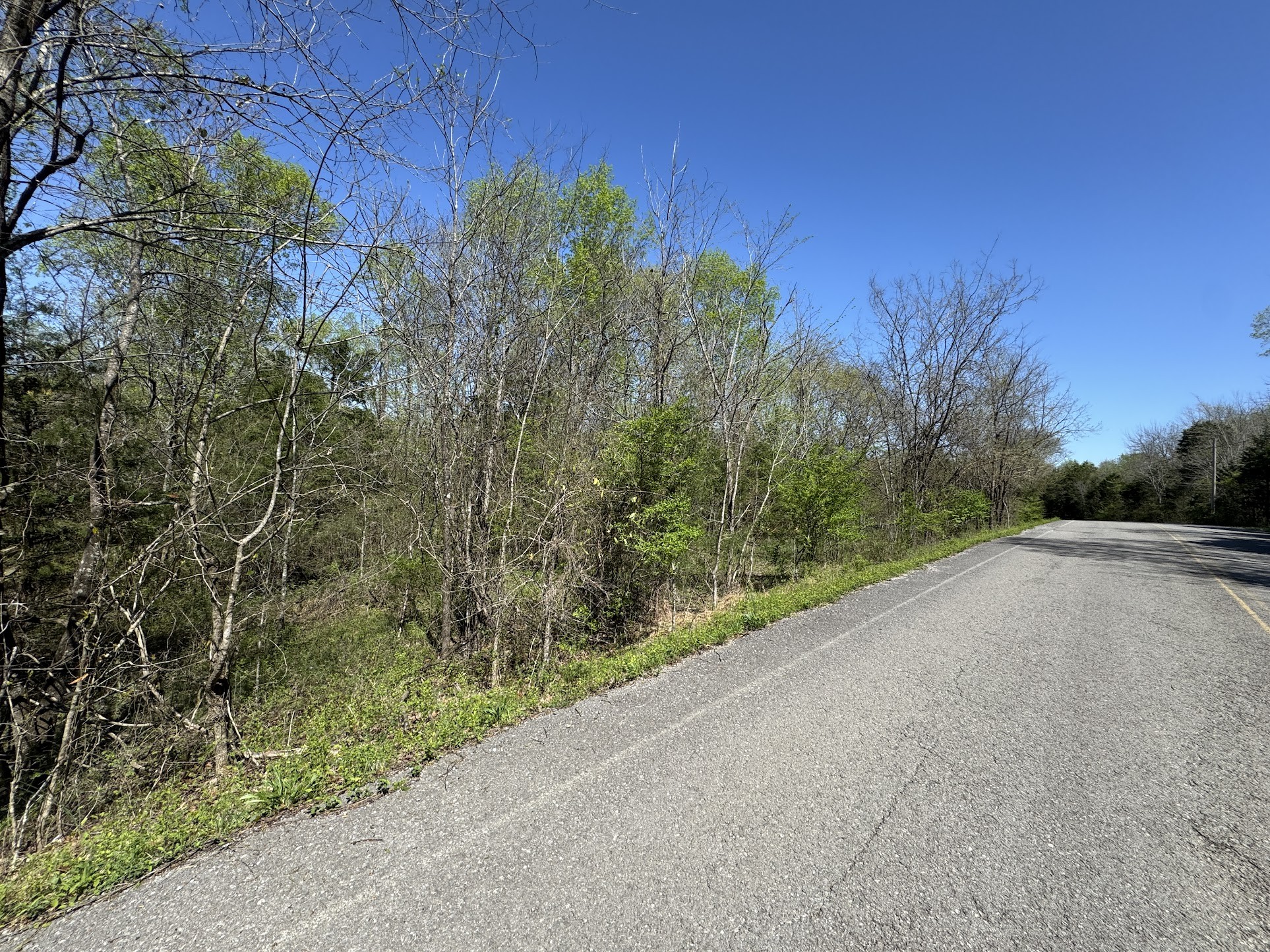 0 Canoe Branch Rd Property Photo