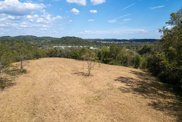 0 Lickton Pike Property Photo 2
