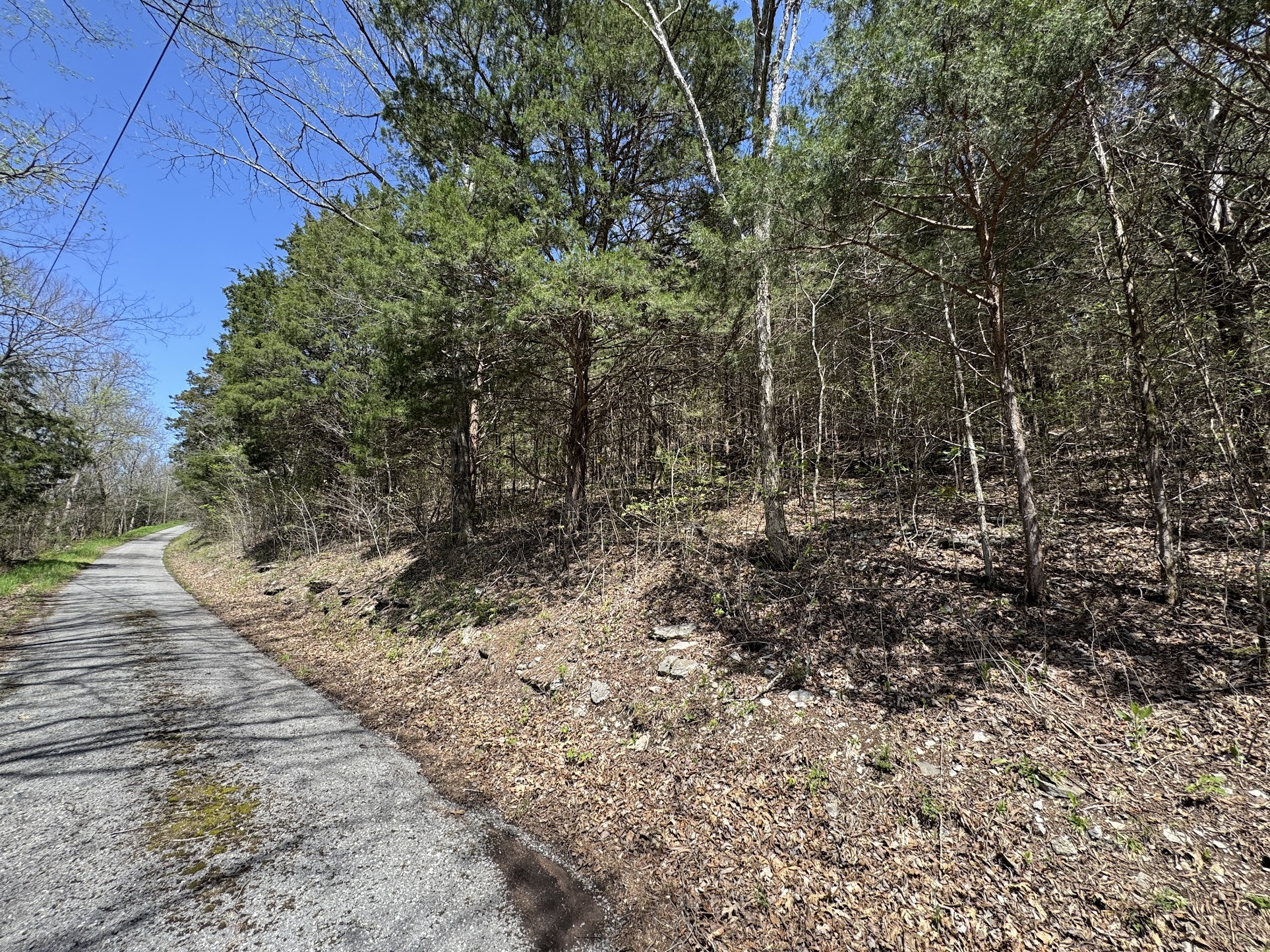 0 Curtis Rd Property Photo 3