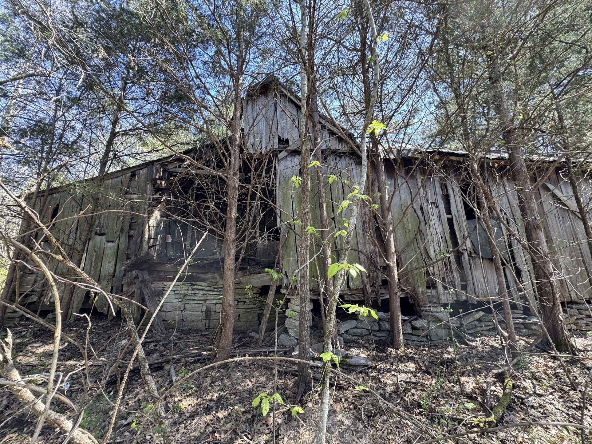 0 Curtis Rd Property Photo 6