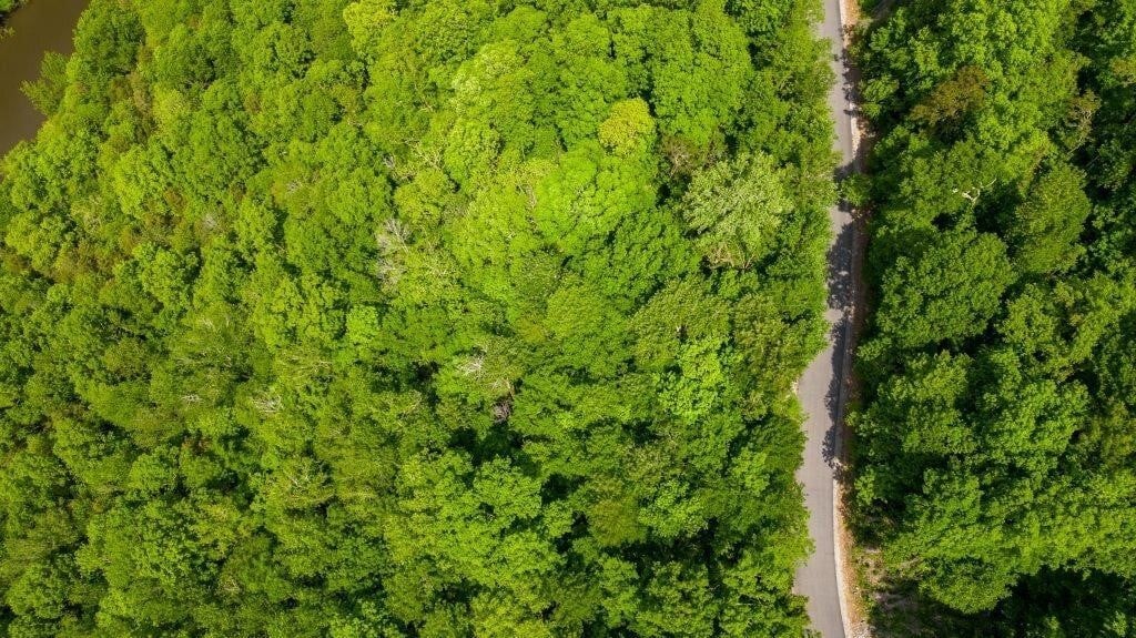 136 Lakeview Drive Property Photo 3