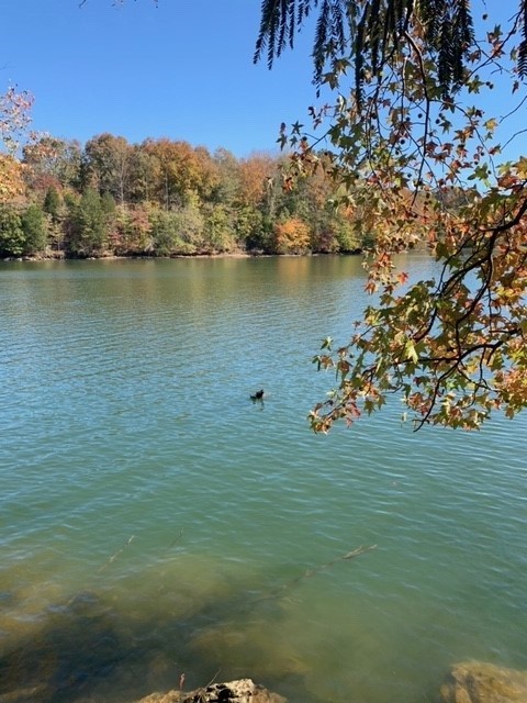 0 Grandview Lake Rd Lot 4 Property Photo 2