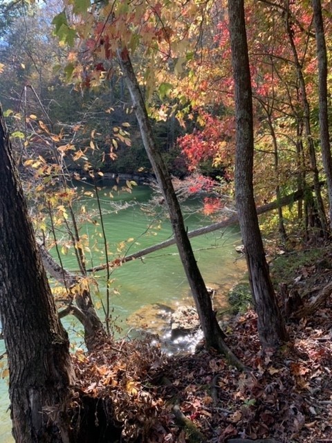 0 Grandview Lake Rd Lot 4 Property Photo 3