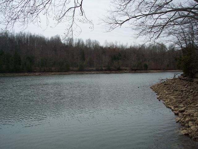 0 Grandview Lake Rd Lot 4 Property Photo 4