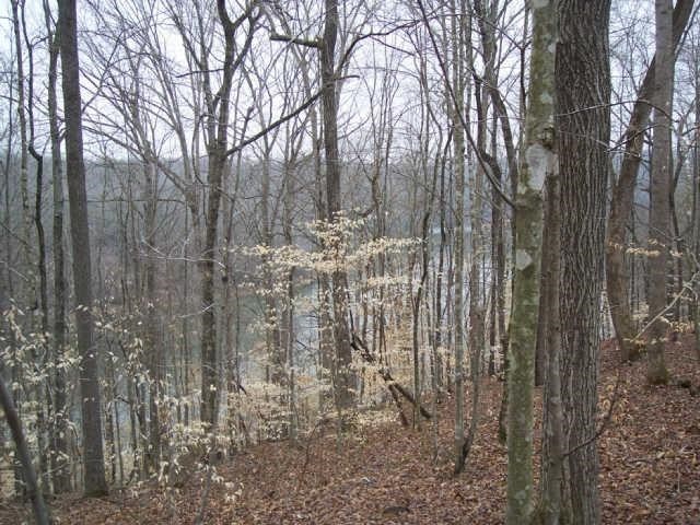 0 Grandview Lake Rd Lot 4 Property Photo 6