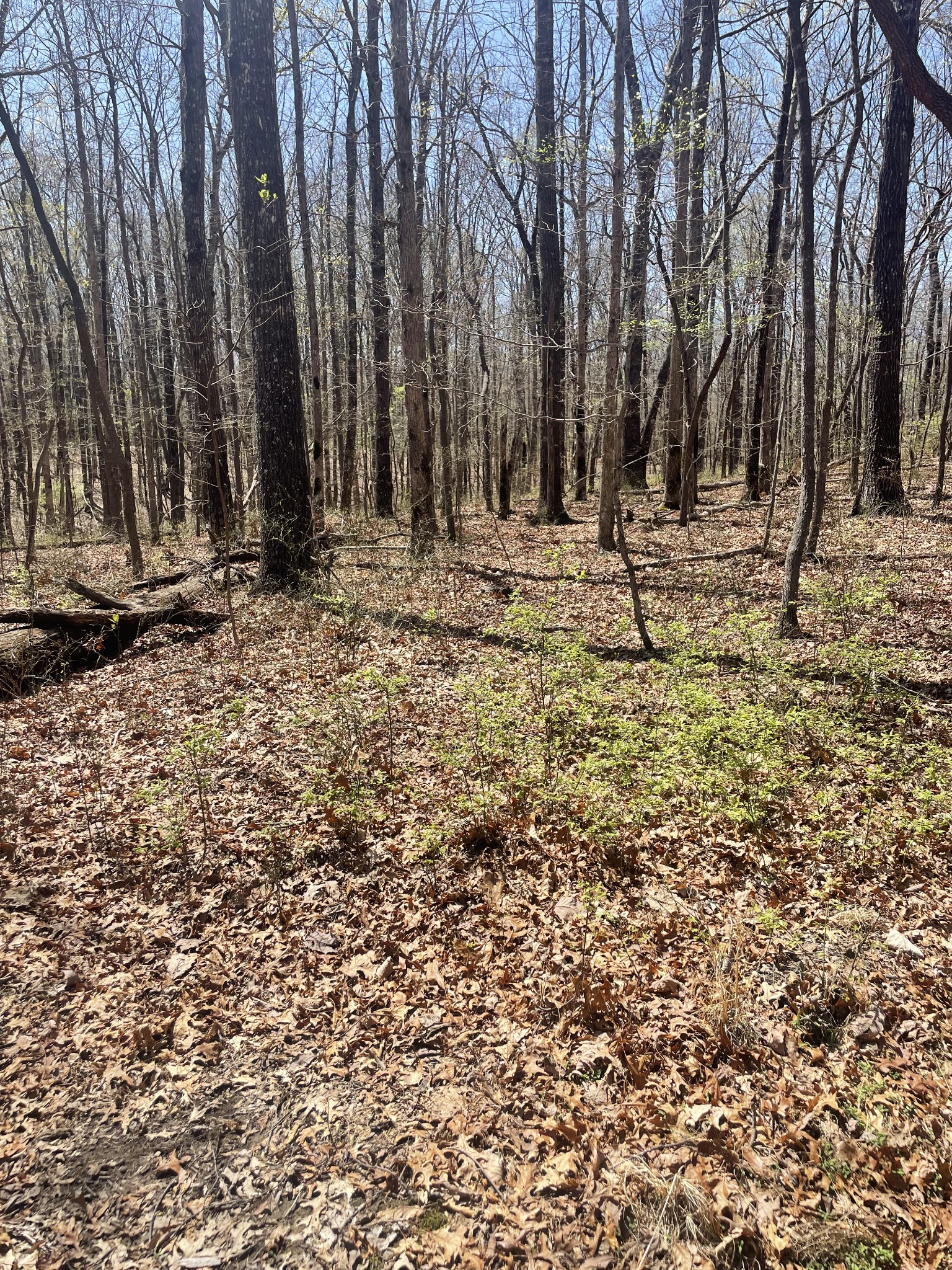 Sewanee Real Estate Listings Main Image