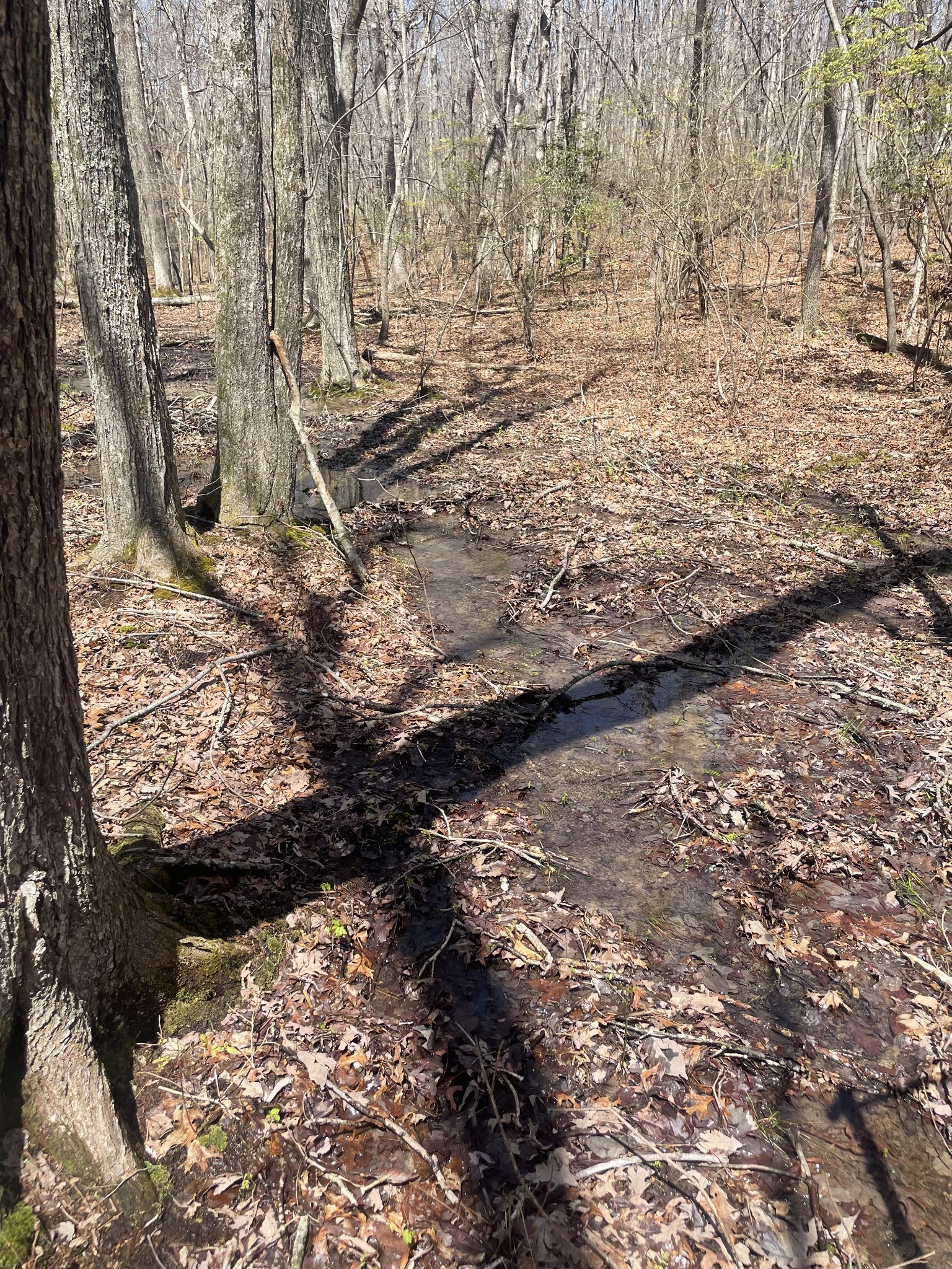 0 Deep Woods Rd Property Photo 2