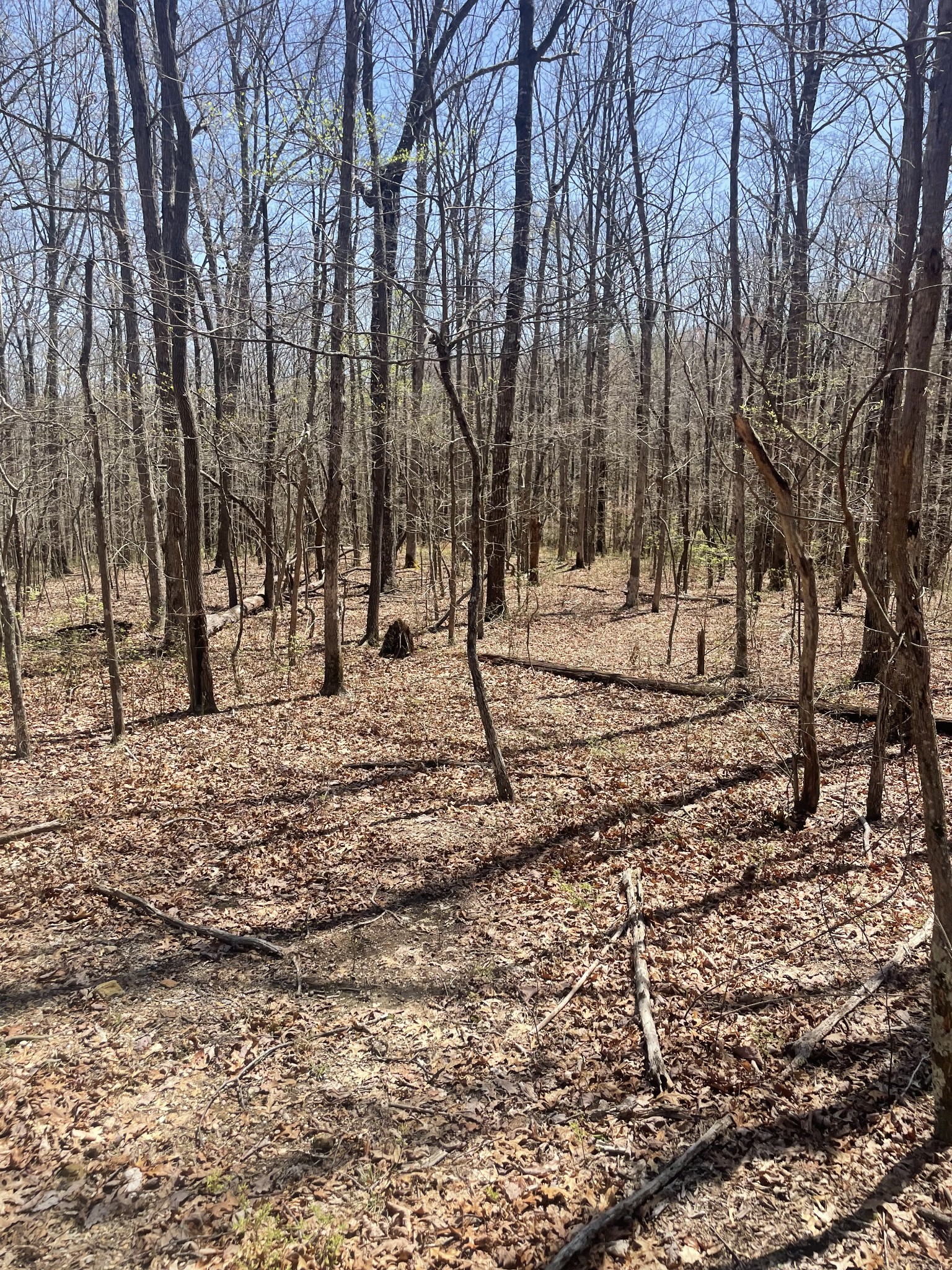 0 Deep Woods Rd Property Photo 3
