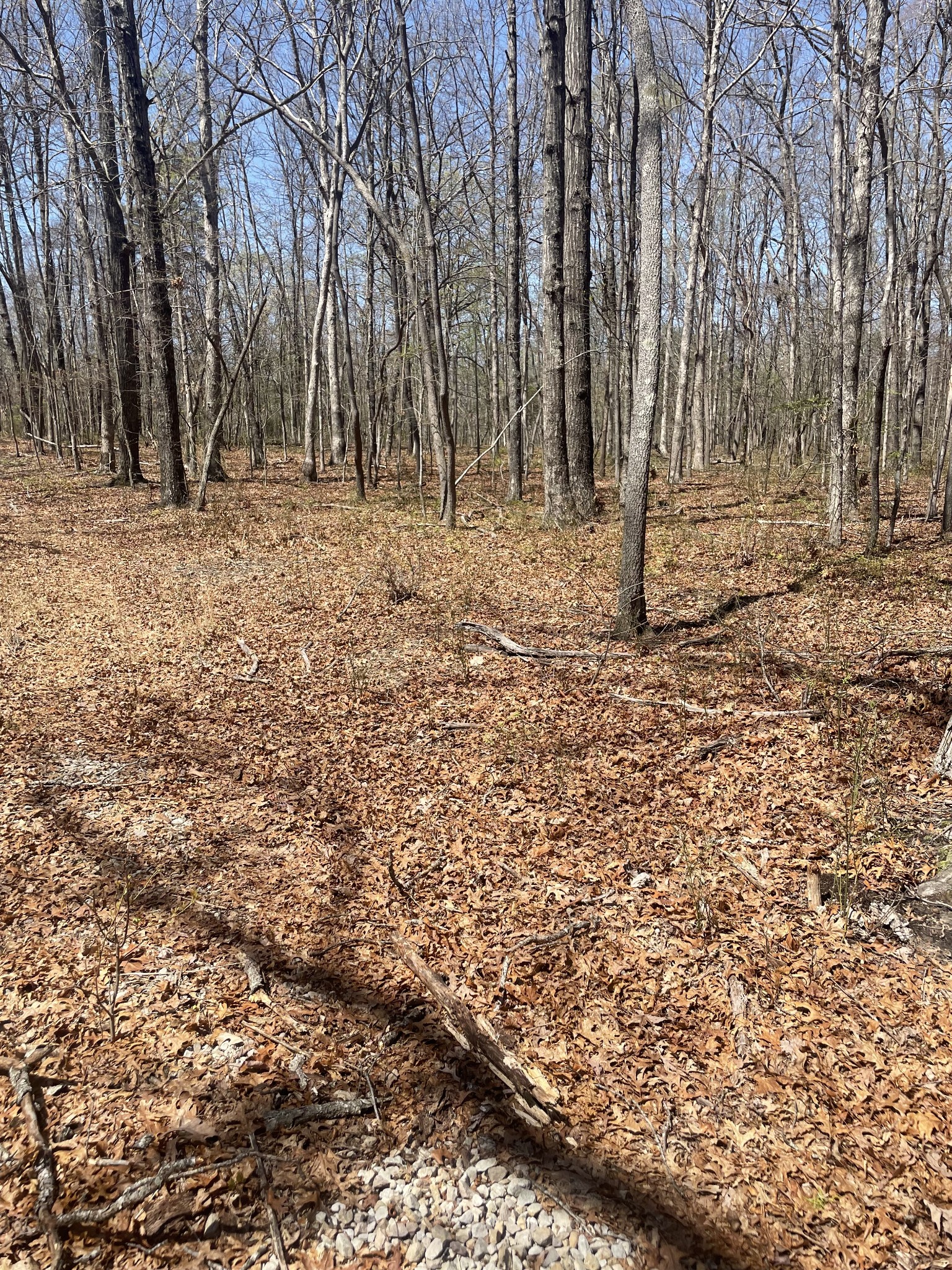0 Deep Woods Rd Property Photo 7