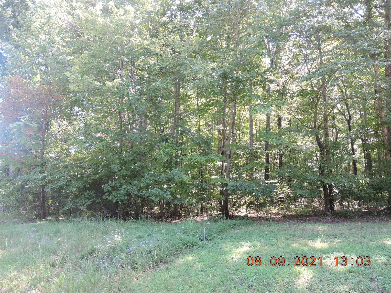 0 Hasty Ln Lot 1 Property Photo