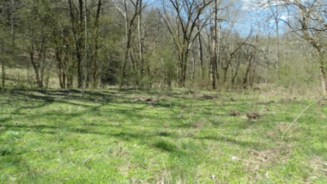 78 Ac Baugh Hollow Rd Property Photo