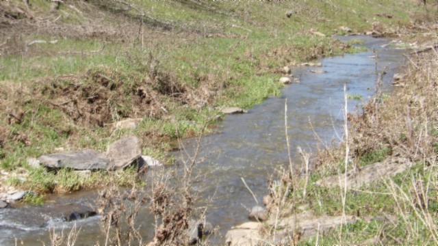 78 Ac Baugh Hollow Rd Property Photo 4