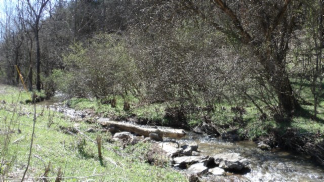78 Ac Baugh Hollow Rd Property Photo 5