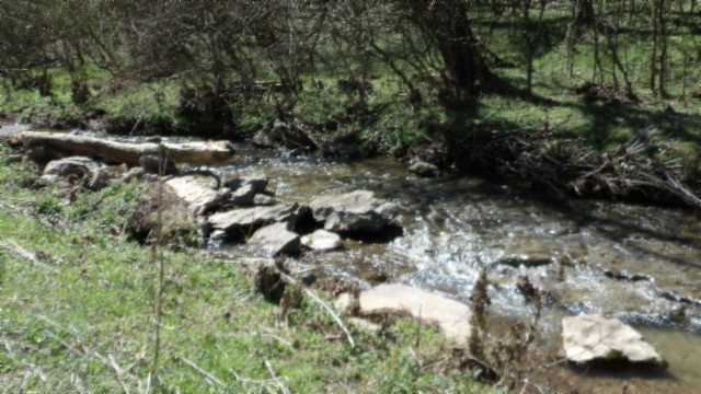 78 Ac Baugh Hollow Rd Property Photo 6