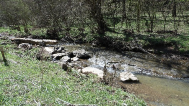 78 Ac Baugh Hollow Rd Property Photo 7