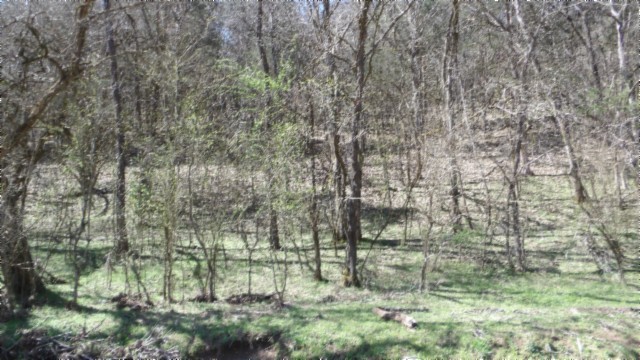 78 Ac Baugh Hollow Rd Property Photo 8