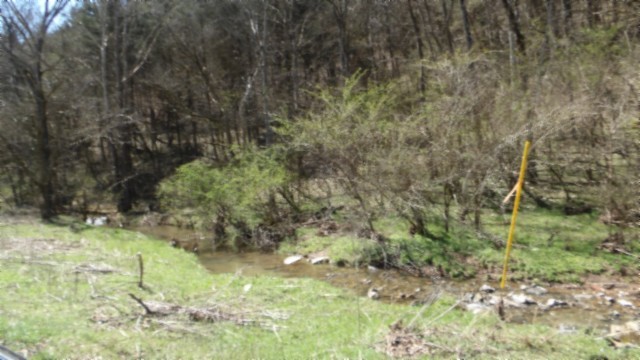 78 Ac Baugh Hollow Rd Property Photo 11