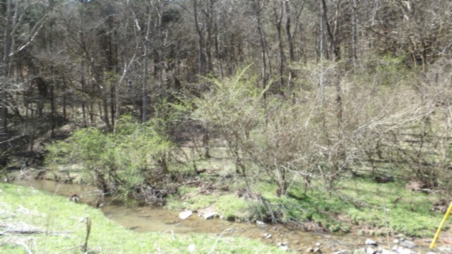 78 Ac Baugh Hollow Rd Property Photo 12