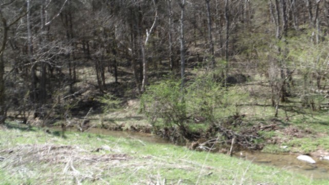 78 Ac Baugh Hollow Rd Property Photo 13