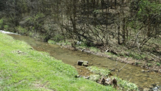 78 Ac Baugh Hollow Rd Property Photo 14