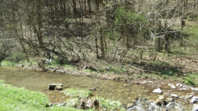 78 Ac Baugh Hollow Rd Property Photo 15