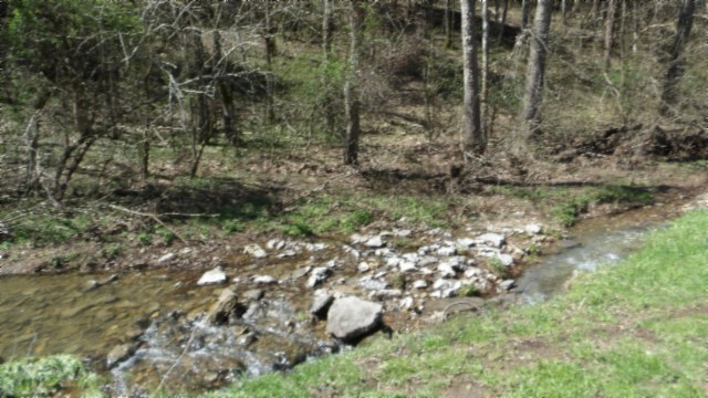 78 Ac Baugh Hollow Rd Property Photo 16