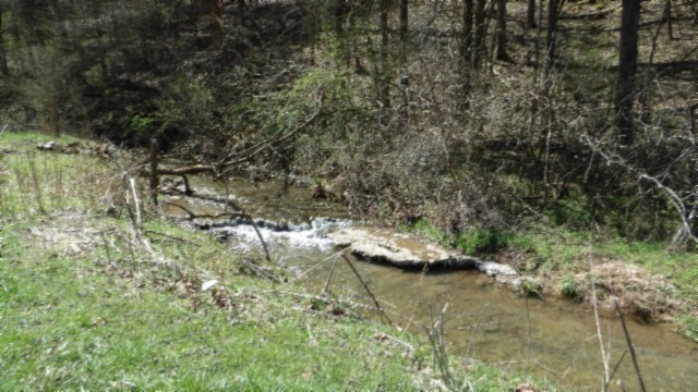 78 Ac Baugh Hollow Rd Property Photo 17