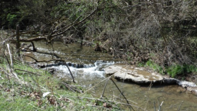 78 Ac Baugh Hollow Rd Property Photo 18