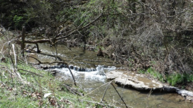 78 Ac Baugh Hollow Rd Property Photo 19
