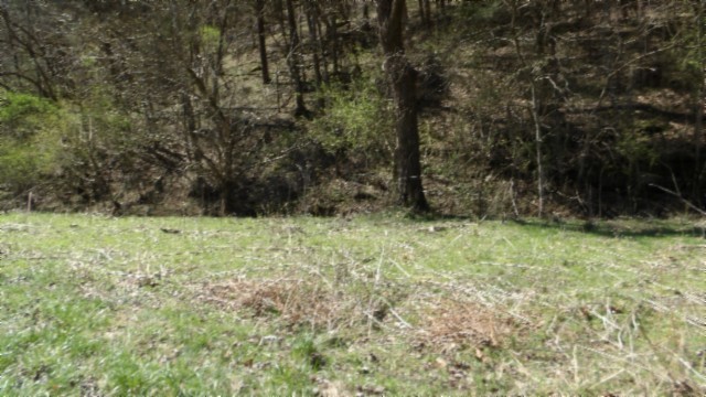78 Ac Baugh Hollow Rd Property Photo 20