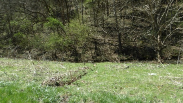78 Ac Baugh Hollow Rd Property Photo 21