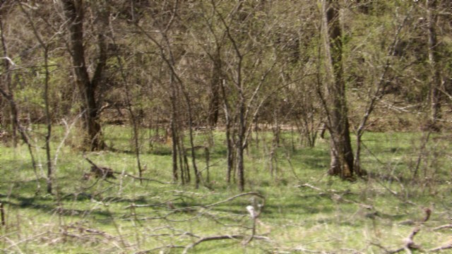 78 Ac Baugh Hollow Rd Property Photo 22