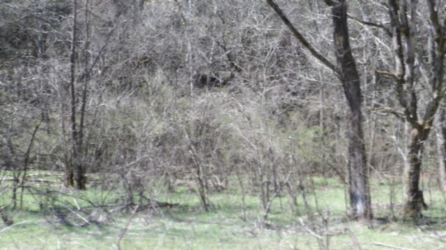78 Ac Baugh Hollow Rd Property Photo 23