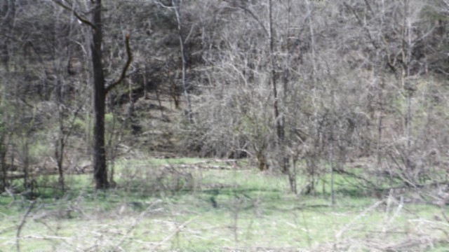 78 Ac Baugh Hollow Rd Property Photo 24