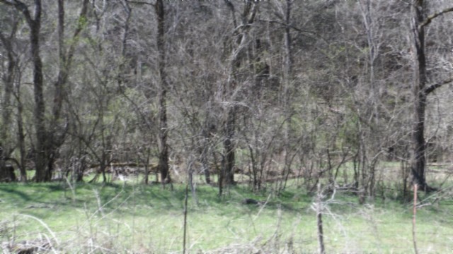 78 Ac Baugh Hollow Rd Property Photo 25