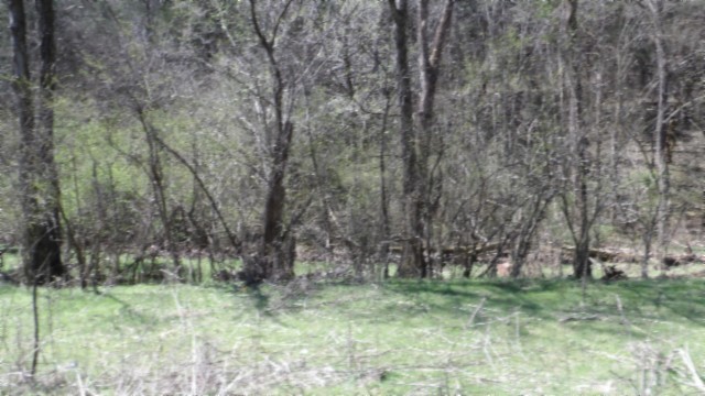 78 Ac Baugh Hollow Rd Property Photo 26