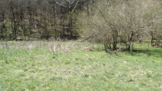 78 Ac Baugh Hollow Rd Property Photo 27