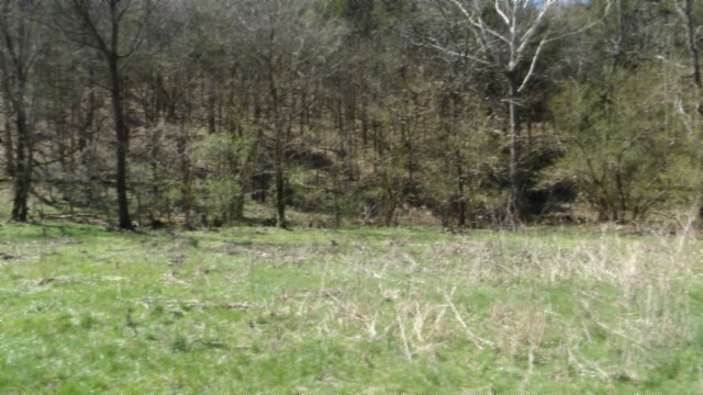78 Ac Baugh Hollow Rd Property Photo 28