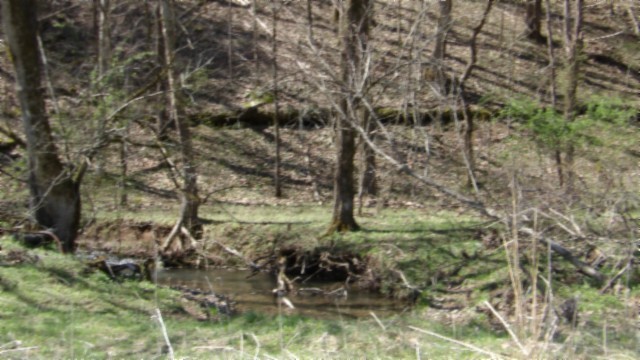 78 Ac Baugh Hollow Rd Property Photo 29