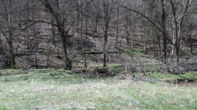 78 Ac Baugh Hollow Rd Property Photo 30