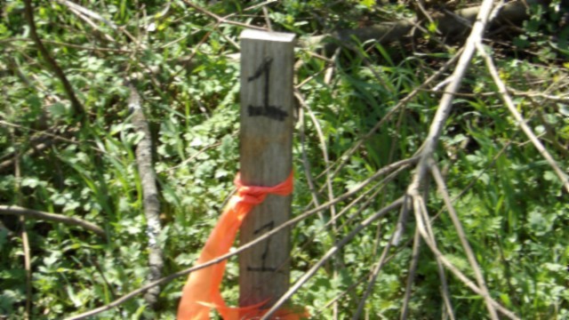 78 Ac Baugh Hollow Rd Property Photo 32