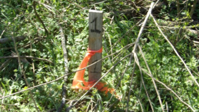 78 Ac Baugh Hollow Rd Property Photo 33