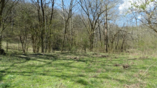 78 Ac Baugh Hollow Rd Property Photo 34