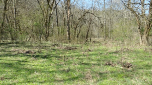 78 Ac Baugh Hollow Rd Property Photo 36