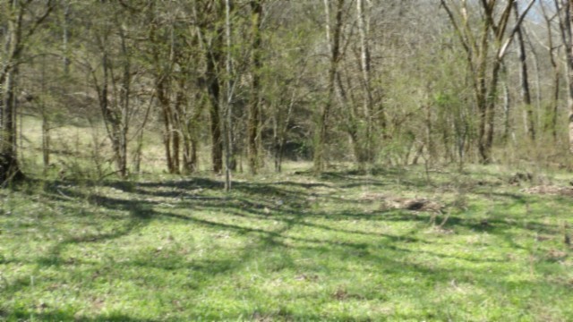 78 Ac Baugh Hollow Rd Property Photo 37